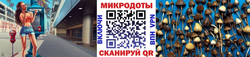 Галлюциногенные грибы мицелий  Мариинский Посад 